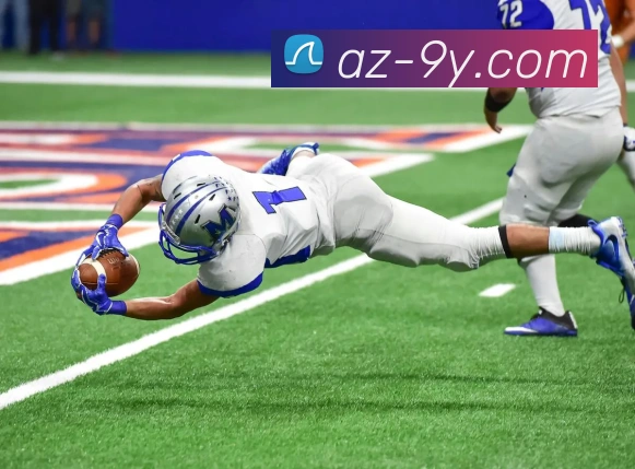 App Interface Preview